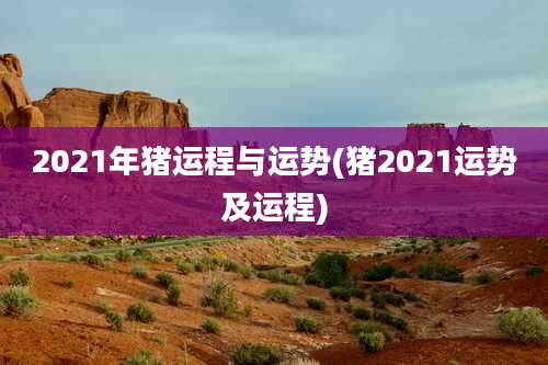 2021年猪运程与运势(猪2021运势及运程)