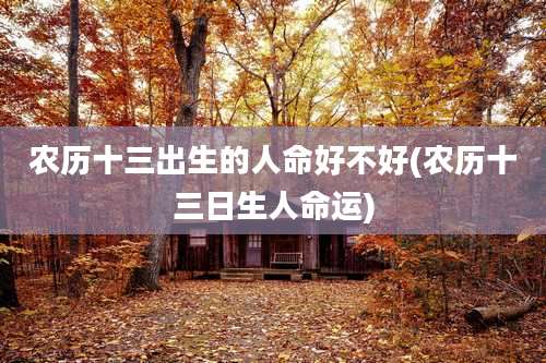 农历十三出生的人命好不好(农历十三日生人命运)