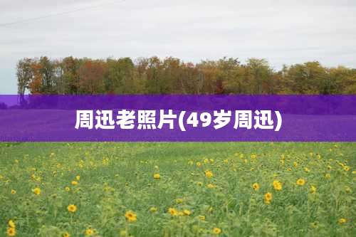 周迅老照片(49岁周迅)