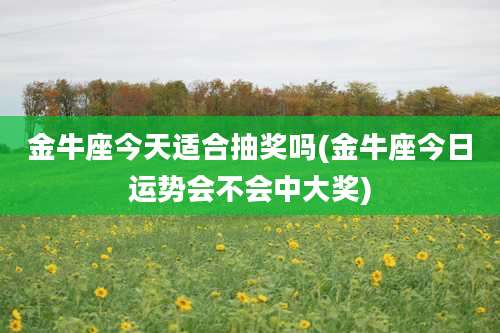 金牛座今天适合抽奖吗(金牛座今日运势会不会中大奖)