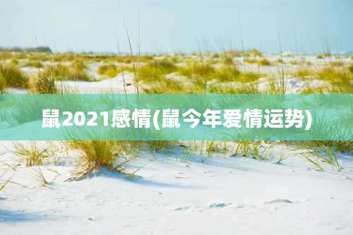 鼠2021感情(鼠今年爱情运势)
