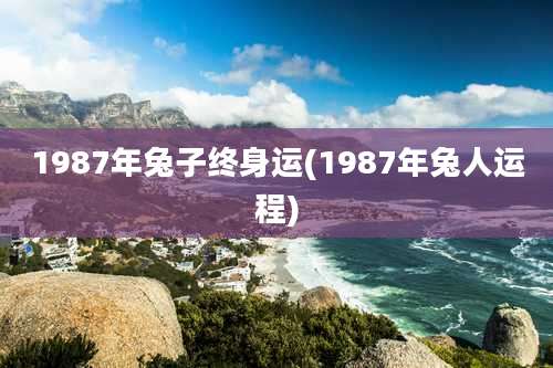 1987年兔子终身运(1987年兔人运程)