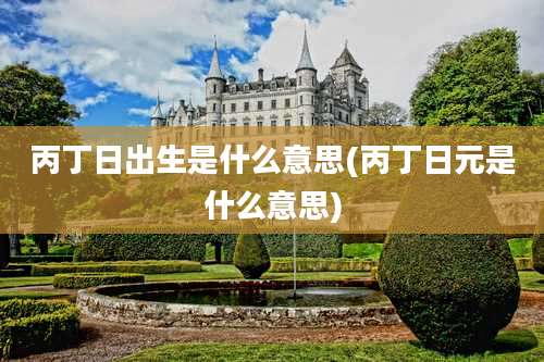 丙丁日出生是什么意思(丙丁日元是什么意思)