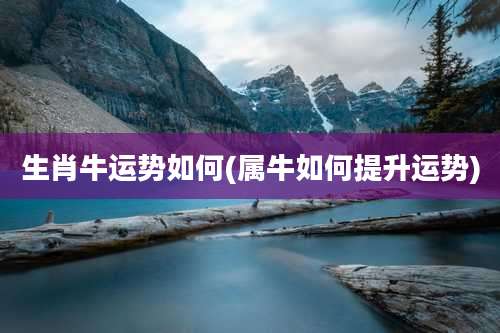 生肖牛运势如何(属牛如何提升运势)