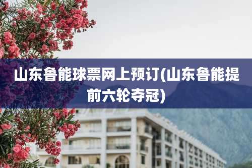 山东鲁能球票网上预订(山东鲁能提前六轮夺冠)