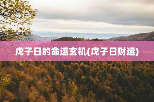 戊子日的命运玄机(戊子日财运)