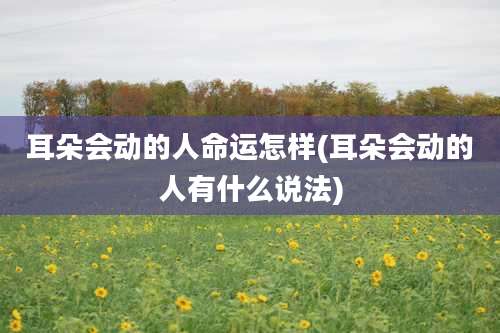 耳朵会动的人命运怎样(耳朵会动的人有什么说法)