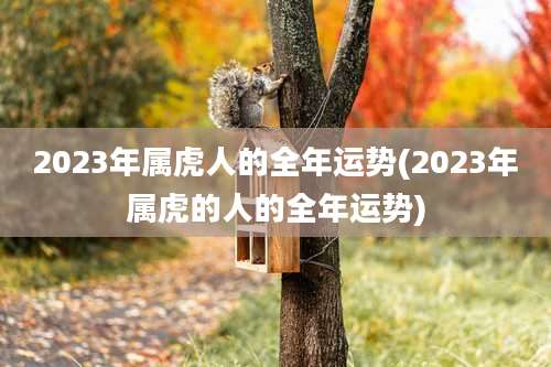 2023年属虎人的全年运势(2023年属虎的人的全年运势)