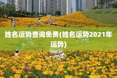 姓名运势查询免费(姓名运势2021年运势)