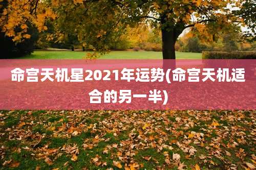 命宫天机星2021年运势(命宫天机适合的另一半)