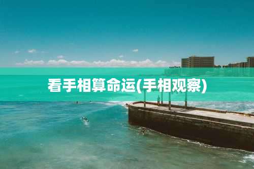 看手相算命运(手相观察)