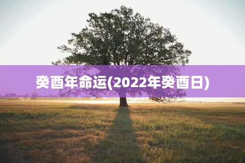 癸酉年命运(2022年癸酉日)