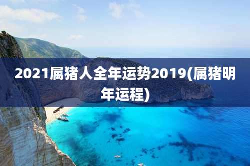2021属猪人全年运势2019(属猪明年运程)