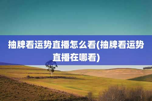 抽牌看运势直播怎么看(抽牌看运势直播在哪看)