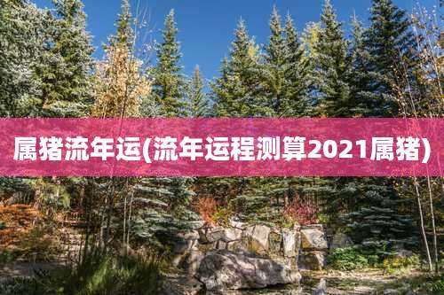 属猪流年运(流年运程测算2021属猪)