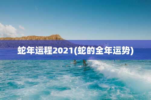 蛇年运程2021(蛇的全年运势)