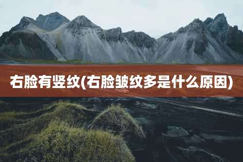 右脸有竖纹(右脸皱纹多是什么原因)