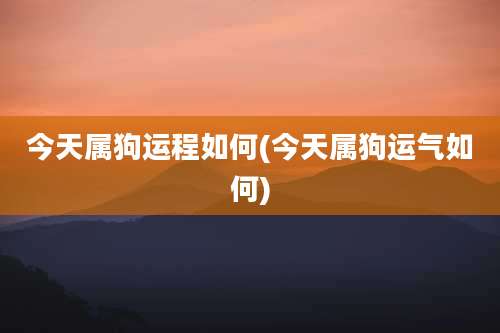 今天属狗运程如何(今天属狗运气如何)