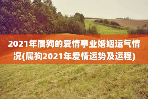 2021年属狗的爱情事业婚姻运气情况(属狗2021年爱情运势及运程)