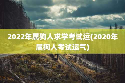 2022年属狗人求学考试运(2020年属狗人考试运气)