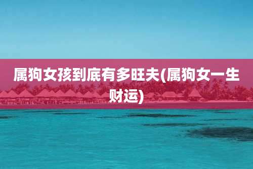 属狗女孩到底有多旺夫(属狗女一生财运)
