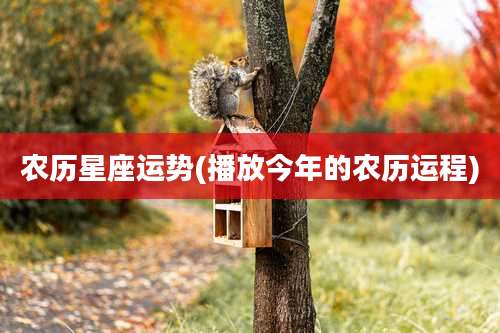 农历星座运势(播放今年的农历运程)