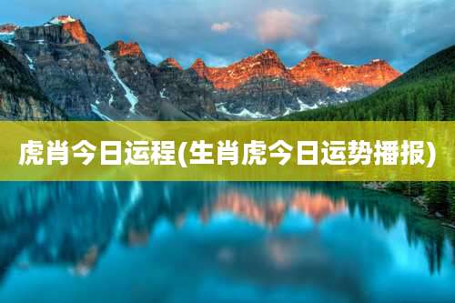 虎肖今日运程(生肖虎今日运势播报)