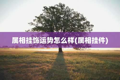 属相挂饰运势怎么样(属相挂件)