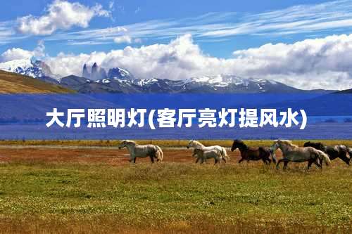 大厅照明灯(客厅亮灯提风水)