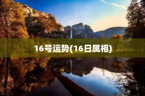 16号运势(16日属相)