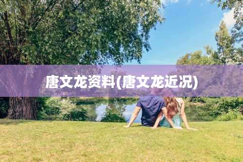 唐文龙资料(唐文龙近况)