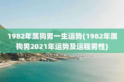 1982年属狗男一生运势(1982年属狗男2021年运势及运程男性)