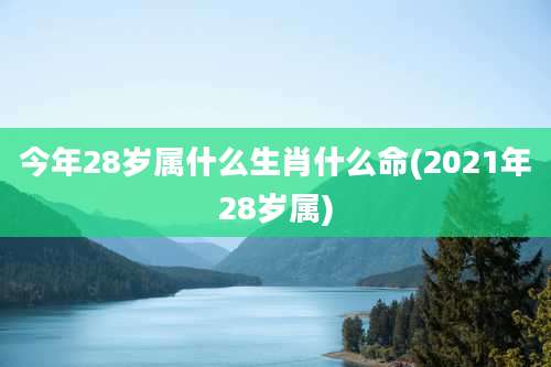 今年28岁属什么生肖什么命(2021年28岁属)