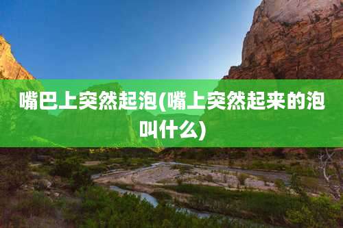 嘴巴上突然起泡(嘴上突然起来的泡叫什么)