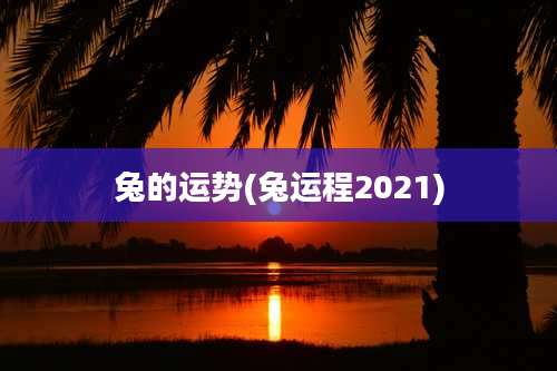 兔的运势(兔运程2021)