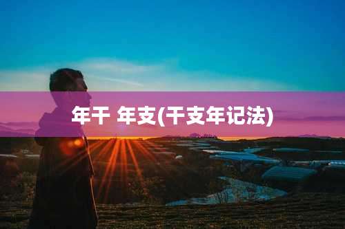 年干 年支(干支年记法)