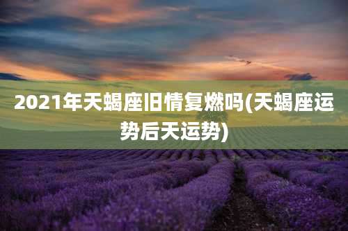 2021年天蝎座旧情复燃吗(天蝎座运势后天运势)
