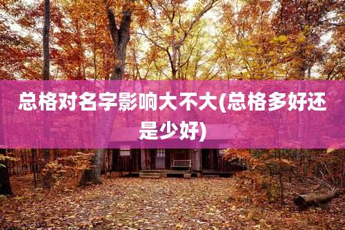 总格对名字影响大不大(总格多好还是少好)