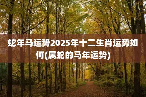 蛇年马运势2025年十二生肖运势如何(属蛇的马年运势)