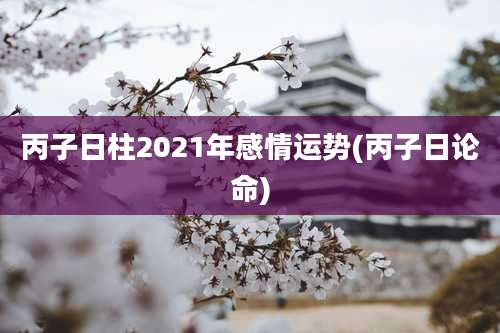 丙子日柱2021年感情运势(丙子日论命)