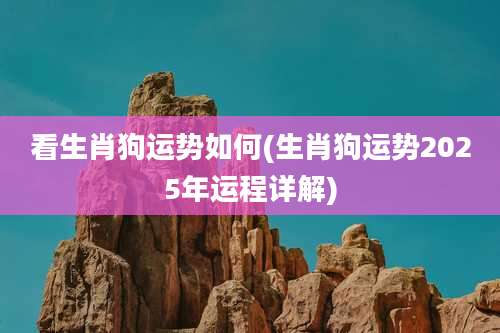 看生肖狗运势如何(生肖狗运势2025年运程详解)