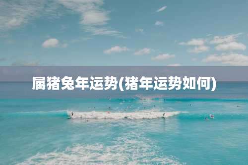 属猪兔年运势(猪年运势如何)