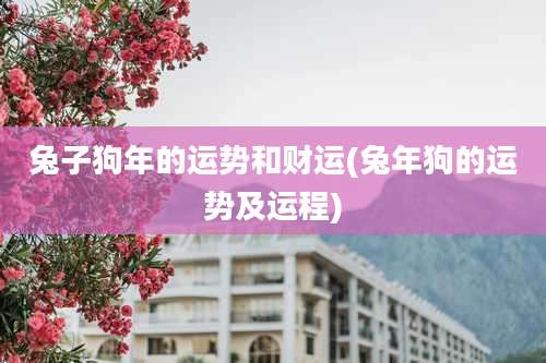 兔子狗年的运势和财运(兔年狗的运势及运程)
