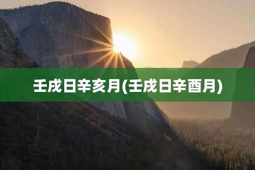 壬戌日辛亥月(壬戌日辛酉月)