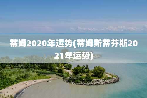 蒂姆2020年运势(蒂姆斯蒂芬斯2021年运势)
