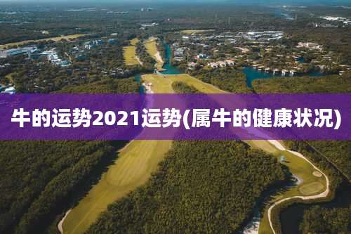 牛的运势2021运势(属牛的健康状况)