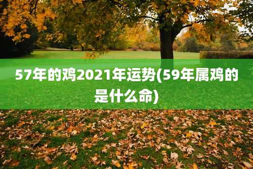 57年的鸡2021年运势(59年属鸡的是什么命)