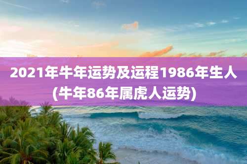 2021年牛年运势及运程1986年生人(牛年86年属虎人运势)