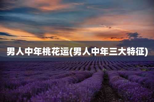 男人中年桃花运(男人中年三大特征)