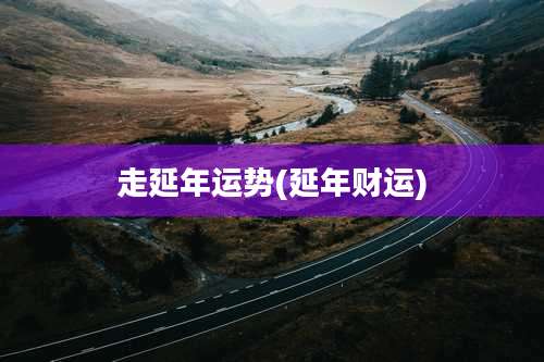 走延年运势(延年财运)